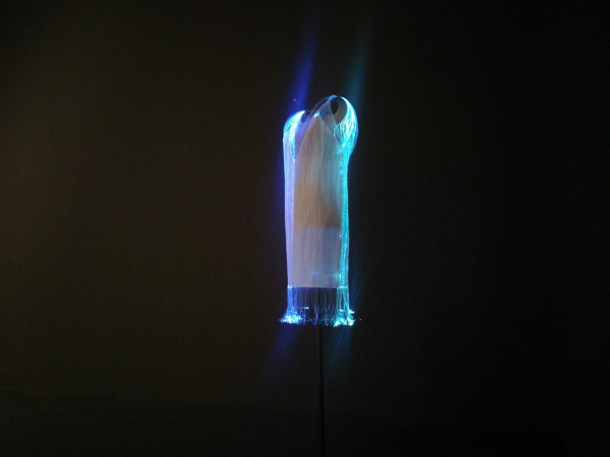 Fibre Optic dress on black background